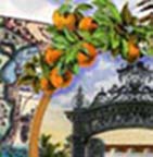 Floridiana Collection