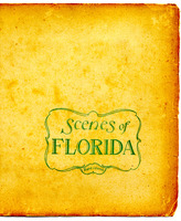 Scenes of Florida