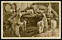 Carl Hagenbeck's Tier Park in Stellingen-Hamburg