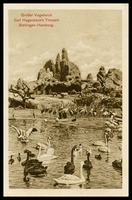 Carl Hagenbeck's Tier Park in Stellingen-Hamburg