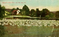 Mentzer Duck Farm near Pen Mar, Pa.