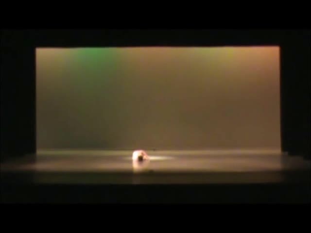 Skin Full of Stories