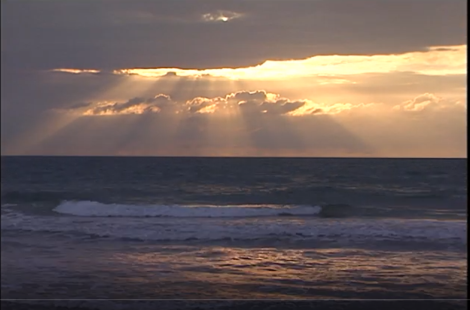 Florida’s Deep-water Oculina Reefs: A National Treasure in Peril
