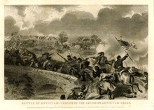 fau_12795-Thumbnail Image.jpg