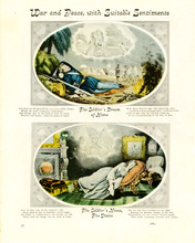 fau_12800-Thumbnail Image.jpg