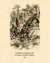 fau_12806-Thumbnail Image.jpg