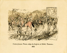 fau_12807-Thumbnail Image.jpg