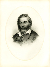 fau_12808-Thumbnail Image.jpg