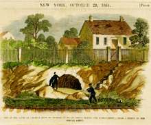 fau_12816-Thumbnail Image.jpg