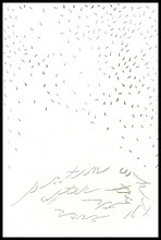 fau_13038-Thumbnail Image.jpg