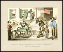 fau_14068-Thumbnail Image.jpg