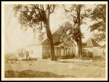 fau_14094-Thumbnail Image.jpg