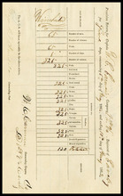 fau_16489-Thumbnail Image.jpg