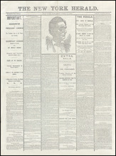 fau_16515-Thumbnail Image.jpg