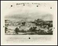 fau_17067-Thumbnail Image.jpg