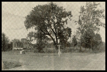 fau_17075-Thumbnail Image.jpg