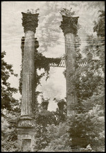 fau_17080-Thumbnail Image.jpg