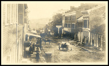 fau_17095-Thumbnail Image.jpg