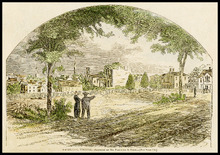 fau_17128-Thumbnail Image.jpg