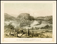 fau_17129-Thumbnail Image.jpg