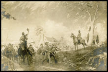 fau_17162-Thumbnail Image.jpg