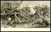 fau_17167-Thumbnail Image.jpg