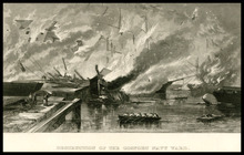 fau_17169-Thumbnail Image.jpg