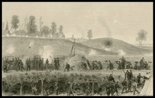 fau_17170-Thumbnail Image.jpg