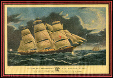 fau_17182-Thumbnail Image.jpg