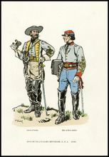 fau_17188-Thumbnail Image.jpg