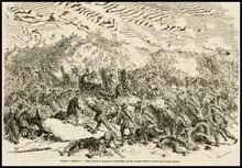 fau_17193-Thumbnail Image.jpg