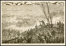 fau_17194-Thumbnail Image.jpg