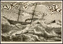 fau_17195-Thumbnail Image.jpg