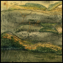 fau_17199-Thumbnail Image.jpg