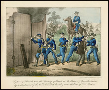 fau_17205-Thumbnail Image.jpg