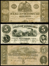 fau_17247-Thumbnail Image.jpg