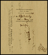 fau_17254-Thumbnail Image.jpg