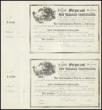 fau_17270-Thumbnail Image.jpg