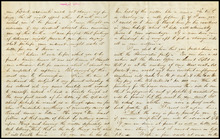 fau_17336-Thumbnail Image.jpg