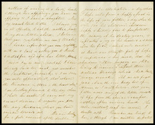 fau_17339-Thumbnail Image.jpg