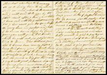 fau_17349-Thumbnail Image.jpg