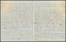 fau_17355-Thumbnail Image.jpg