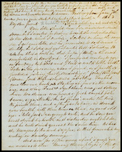 fau_17357-Thumbnail Image.jpg