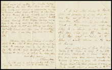 fau_17358-Thumbnail Image.jpg