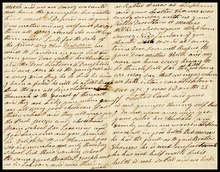 fau_17372-Thumbnail Image.jpg