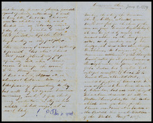 fau_17379-Thumbnail Image.jpg