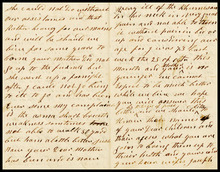 fau_17387-Thumbnail Image.jpg