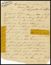 fau_17391-Thumbnail Image.jpg