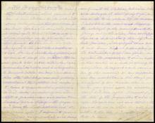 fau_17409-Thumbnail Image.jpg