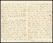 fau_17410-Thumbnail Image.jpg